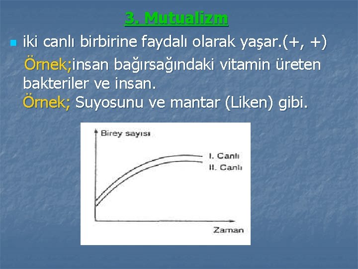 n 3. Mutualizm iki canlı birbirine faydalı olarak yaşar. (+, +) Örnek; insan bağırsağındaki