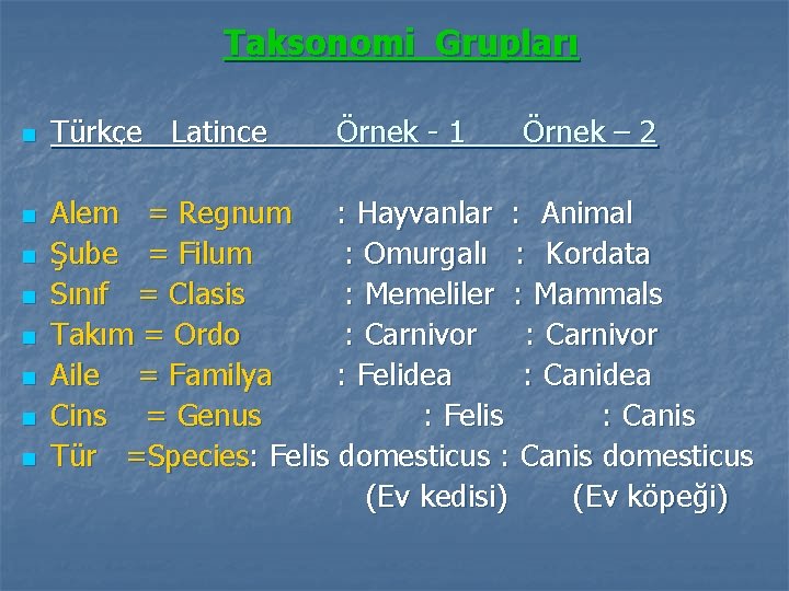 Taksonomi Grupları n n n n Türkçe Latince Örnek - 1 Örnek – 2