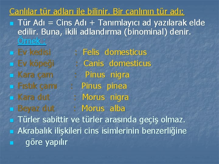 Canlılar tür adları ile bilinir. Bir canlının tür adı; n Tür Adı = Cins