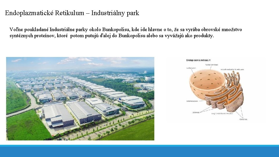 Endoplazmatické Retikulum – Industriálny park Voľne poukladané Industriálne parky okolo Bunkopolisu, kde ide hlavne