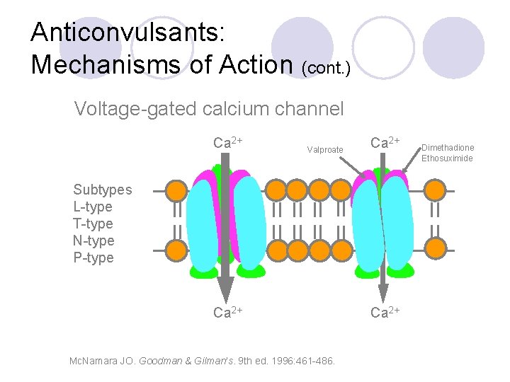 Anticonvulsants: Mechanisms of Action (cont. ) Voltage-gated calcium channel Ca 2+ Valproate Ca 2+