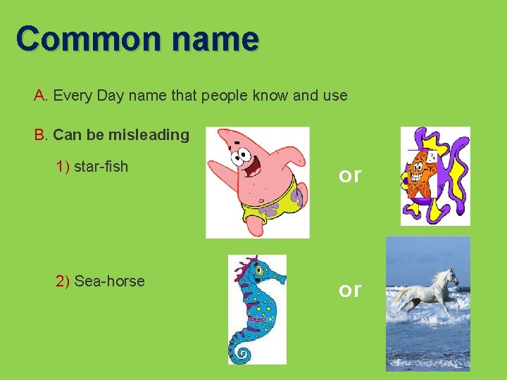 Common name A. Every Day name that people know and use B. Can be