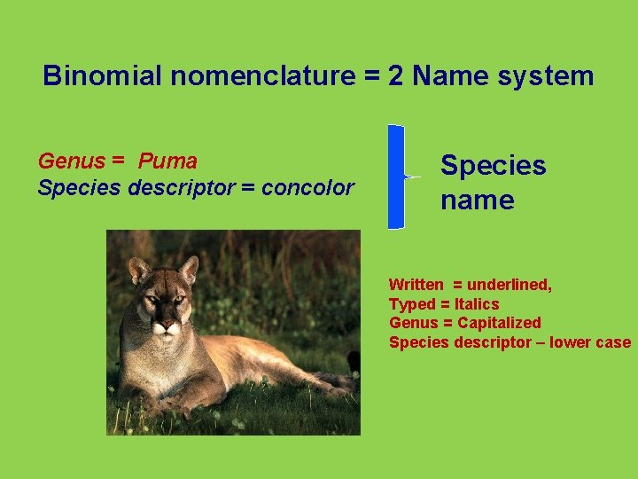 Binomial nomenclature = 2 Name system Genus = Puma Species descriptor = concolor Species