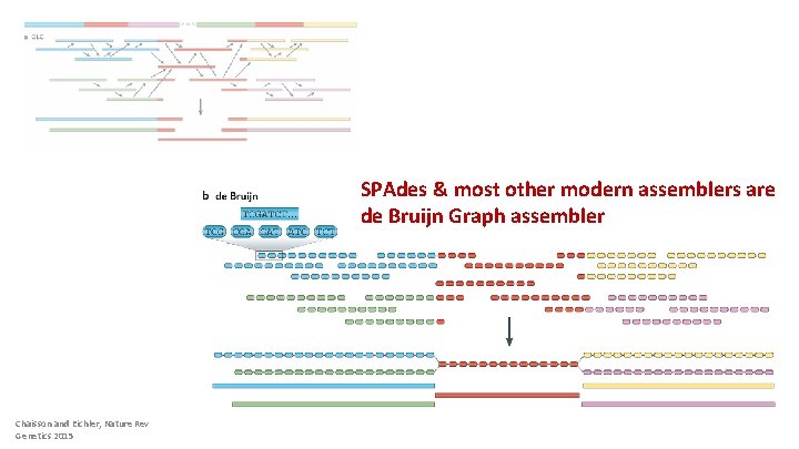 SPAdes & most other modern assemblers are de Bruijn Graph assembler Chaisson and Eichler,