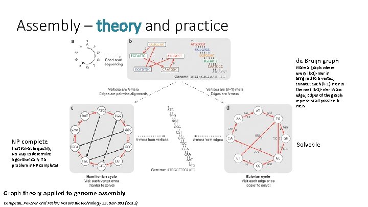 Assembly – theory and practice de Bruijn graph Make a graph where every (k-1)-mer