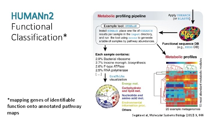 HUMANn 2 Functional Classification* *mapping genes of identifiable function onto annotated pathway maps Segata