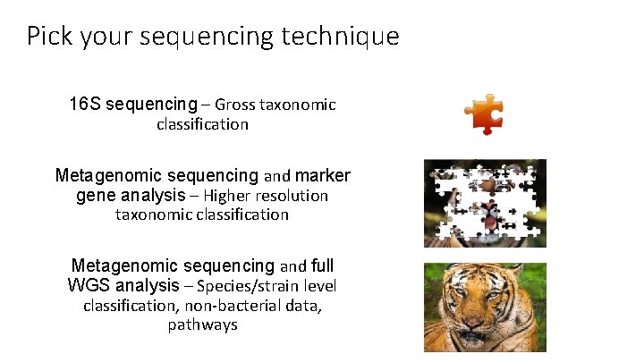 Pick your sequencing technique 16 S sequencing – Gross taxonomic classification Metagenomic sequencing and