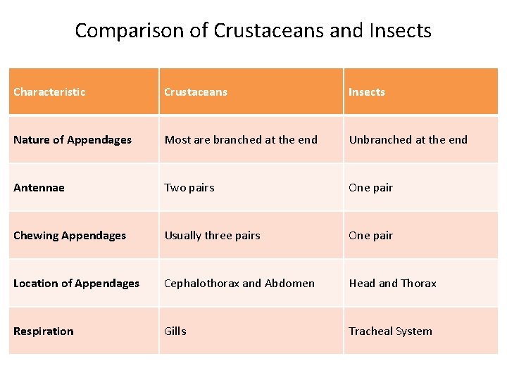 Comparison of Crustaceans and Insects Characteristic Crustaceans Insects Nature of Appendages Most are branched