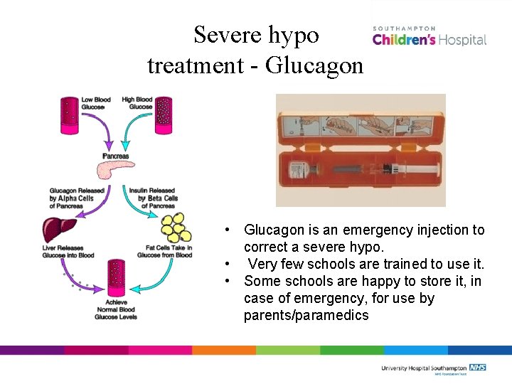 Severe hypo treatment - Glucagon • Glucagon is an emergency injection to correct a