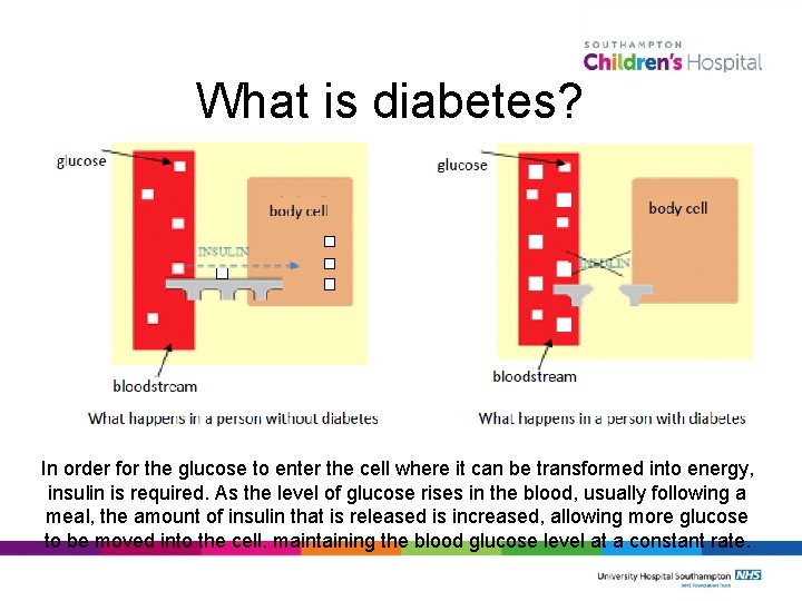 What is diabetes? In order for the glucose to enter the cell where it