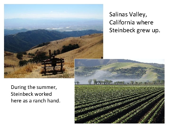 Salinas Valley, California where Steinbeck grew up. During the summer, Steinbeck worked here as