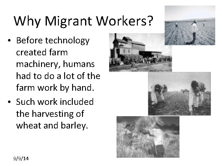 Why Migrant Workers? • Before technology created farm machinery, humans had to do a