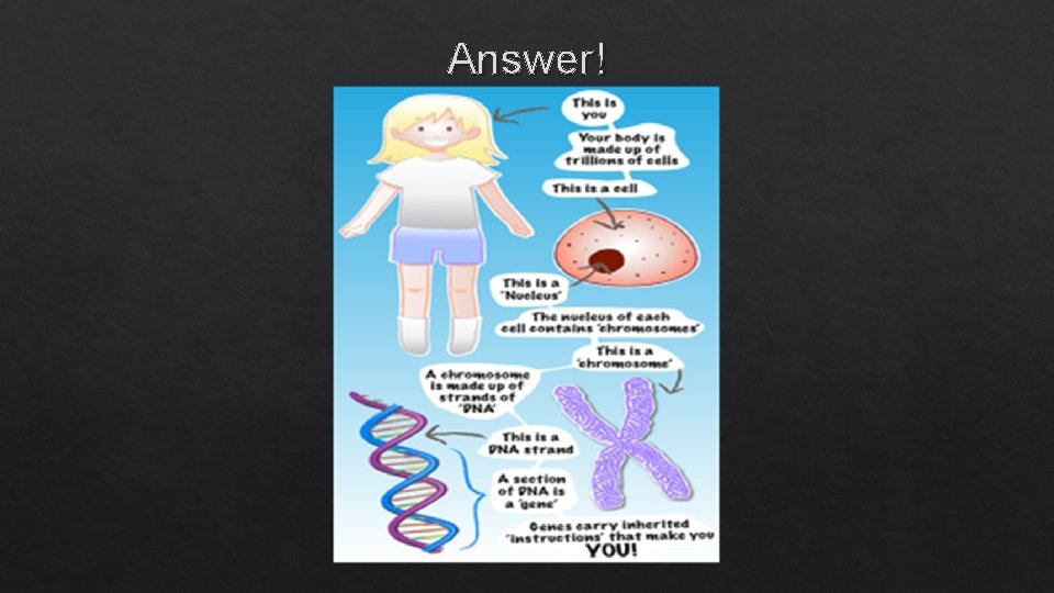 Answer! 