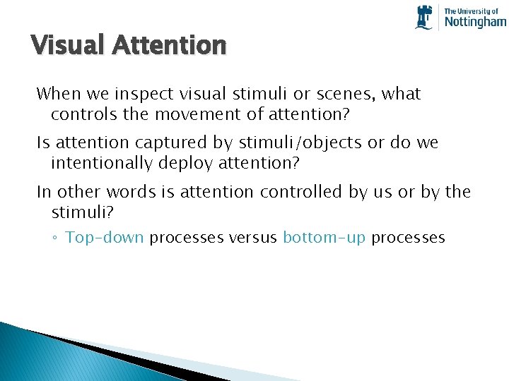 Visual Attention When we inspect visual stimuli or scenes, what controls the movement of