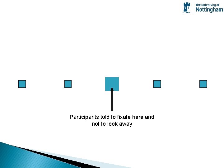 Participants told to fixate here and not to look away 
