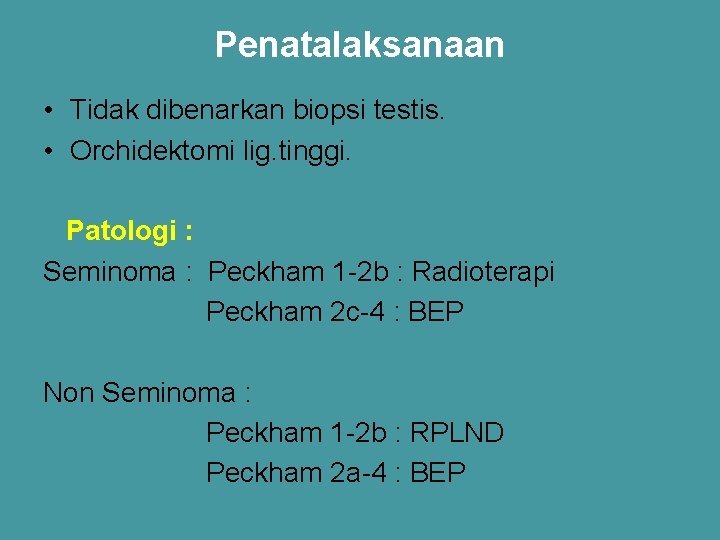 Penatalaksanaan • Tidak dibenarkan biopsi testis. • Orchidektomi lig. tinggi. Patologi : Seminoma :