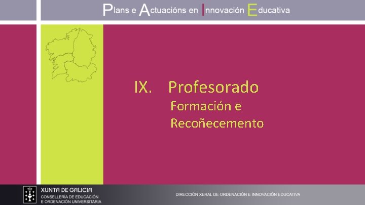 IX. Profesorado Formación e Recoñecemento 