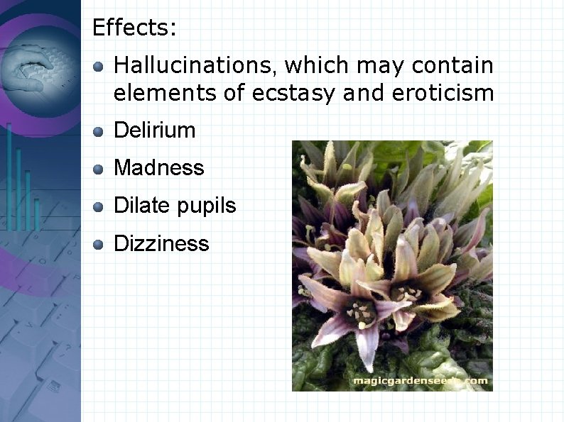Effects: Hallucinations, which may contain elements of ecstasy and eroticism Delirium Madness Dilate pupils