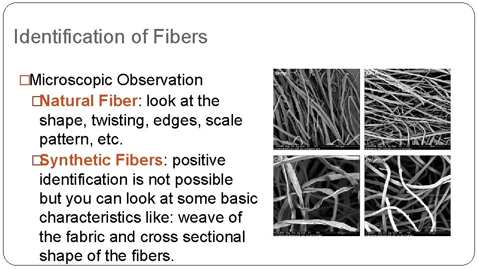 Identification of Fibers �Microscopic Observation �Natural Fiber: look at the shape, twisting, edges, scale