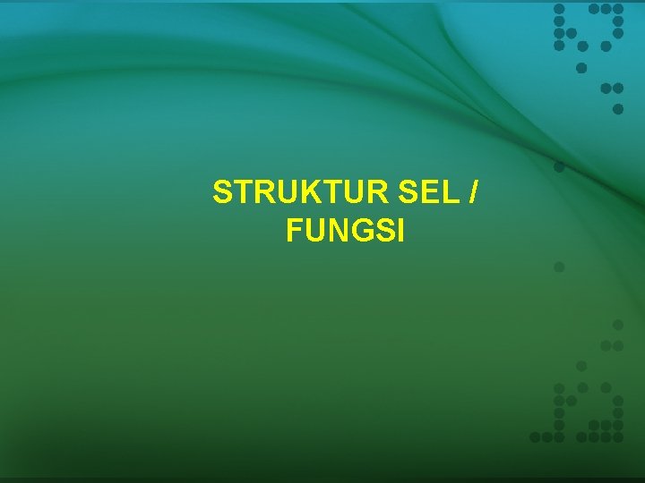 STRUKTUR SEL / FUNGSI 