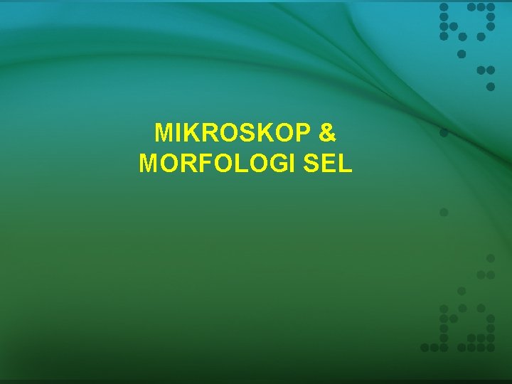 MIKROSKOP & MORFOLOGI SEL 