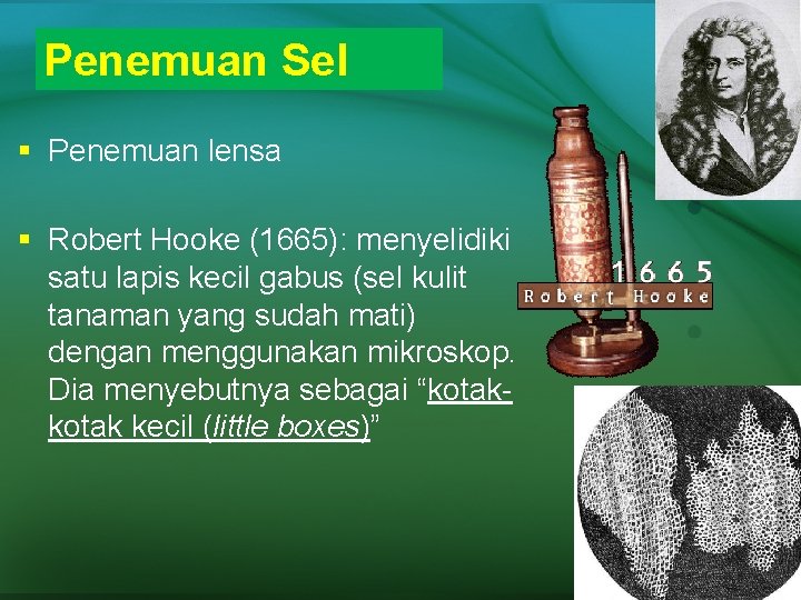 Penemuan Sel § Penemuan lensa § Robert Hooke (1665): menyelidiki satu lapis kecil gabus