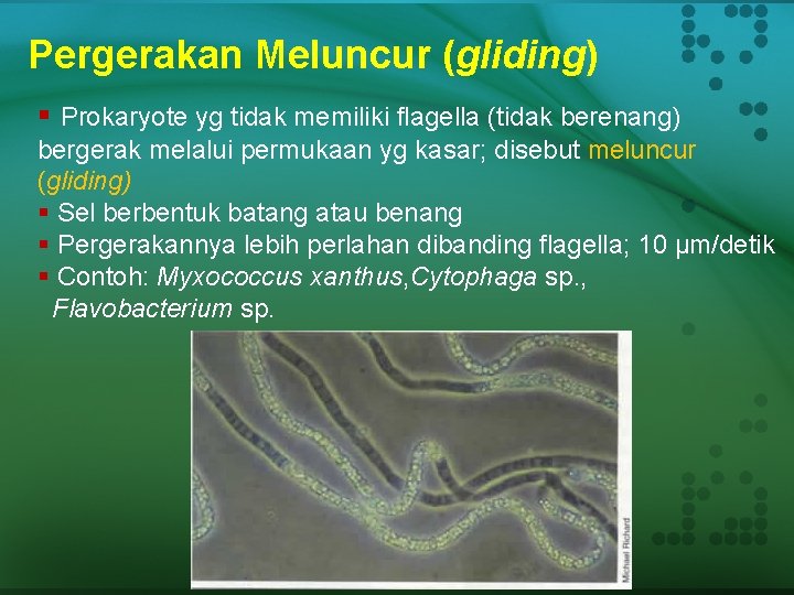 Pergerakan Meluncur (gliding) § Prokaryote yg tidak memiliki flagella (tidak berenang) bergerak melalui permukaan