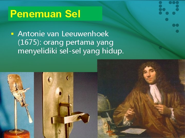 Penemuan Sel § Antonie van Leeuwenhoek (1675): orang pertama yang menyelidiki sel-sel yang hidup.