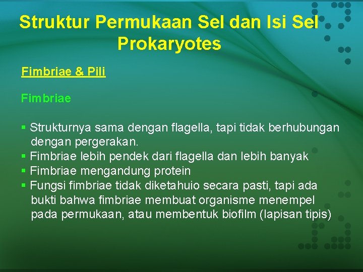 Struktur Permukaan Sel dan Isi Sel Prokaryotes Fimbriae & Pili Fimbriae § Strukturnya sama