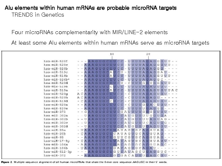 Alu elements within human m. RNAs are probable micro. RNA targets TRENDS in Genetics