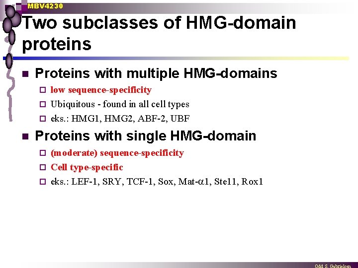 MBV 4230 Two subclasses of HMG-domain proteins n Proteins with multiple HMG-domains low sequence-specificity