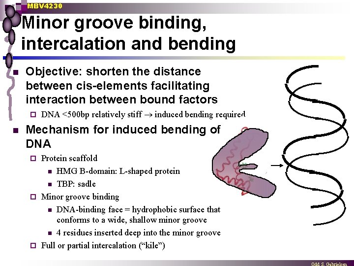 MBV 4230 Minor groove binding, intercalation and bending n Objective: shorten the distance between