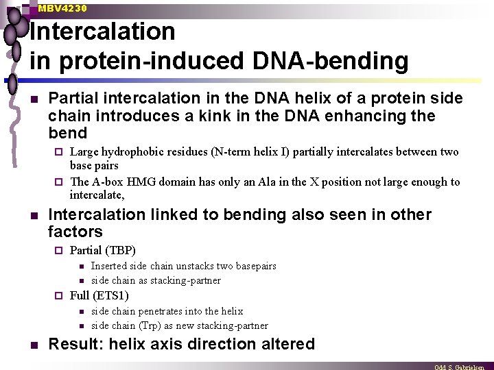 MBV 4230 Intercalation in protein-induced DNA-bending n Partial intercalation in the DNA helix of