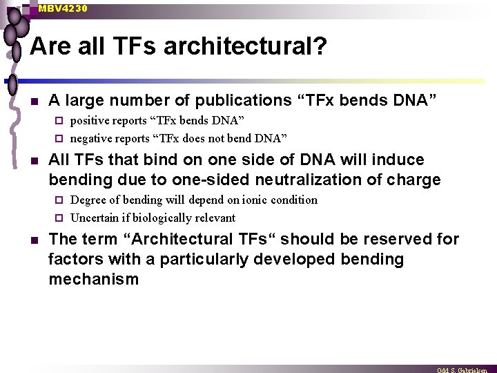 MBV 4230 Are all TFs architectural? n A large number of publications “TFx bends
