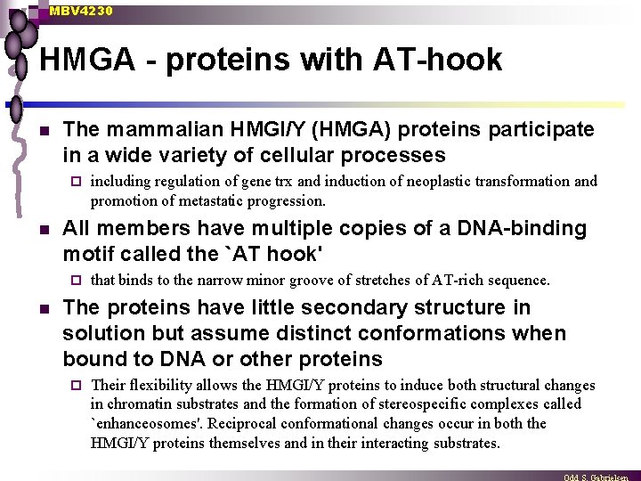 MBV 4230 HMGA - proteins with AT-hook n The mammalian HMGI/Y (HMGA) proteins participate