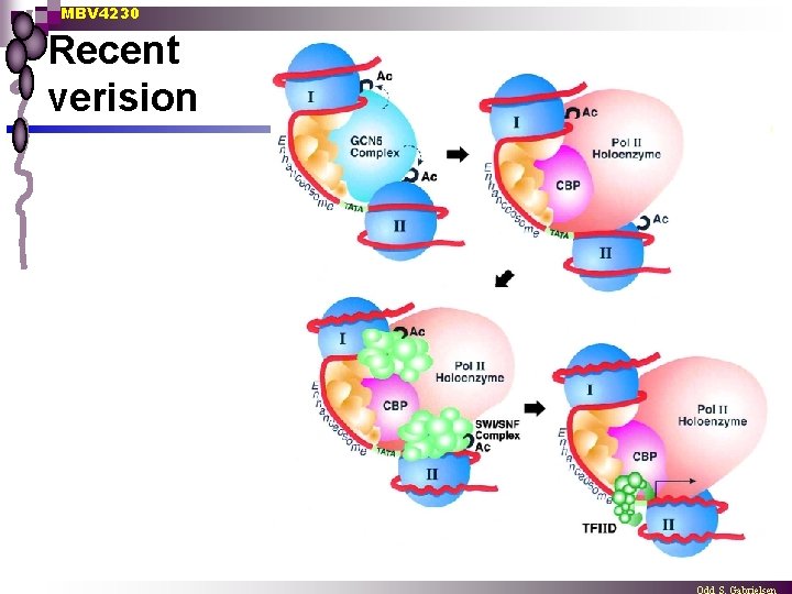 MBV 4230 Recent verision 