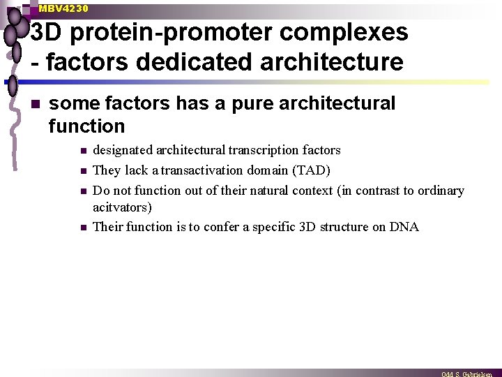 MBV 4230 3 D protein-promoter complexes - factors dedicated architecture n some factors has