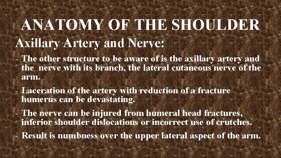 ANATOMY OF THE SHOULDER Axillary Artery and Nerve: - The other structure to be