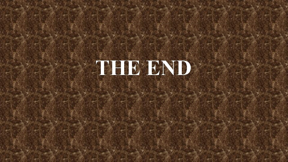 THE END 