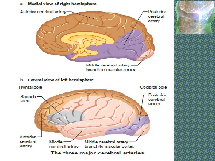 Click to add title • Click to add text 