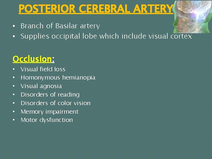 POSTERIOR CEREBRAL ARTERY • Branch of Basilar artery • Supplies occipital lobe which include