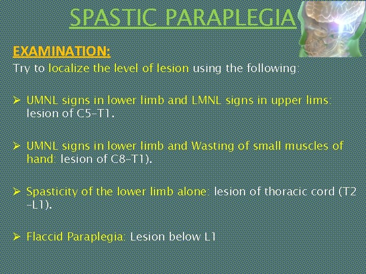 SPASTIC PARAPLEGIA EXAMINATION: Try to localize the level of lesion using the following: Ø