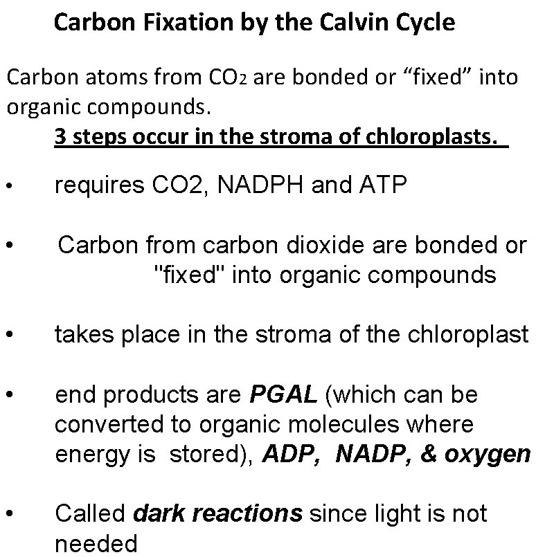 Carbon Fixation by the Calvin Cycle Carbon atoms from CO 2 are bonded or