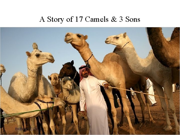 A Story of 17 Camels & 3 Sons BKB/NASC/2019 