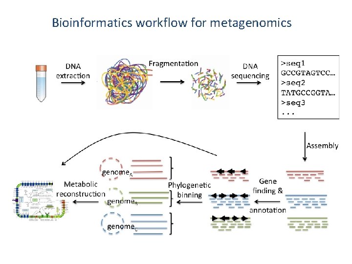 Bioinformatics workflow for metagenomics 