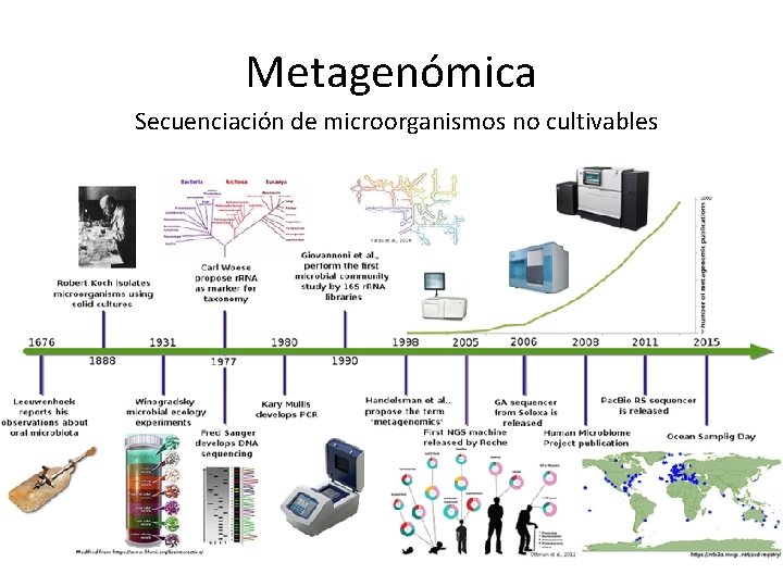 Metagenómica Secuenciación de microorganismos no cultivables 