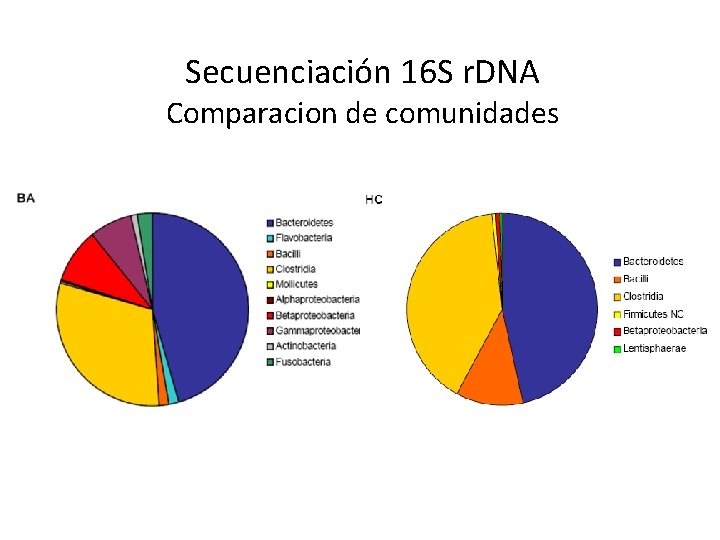 Secuenciación 16 S r. DNA Comparacion de comunidades 