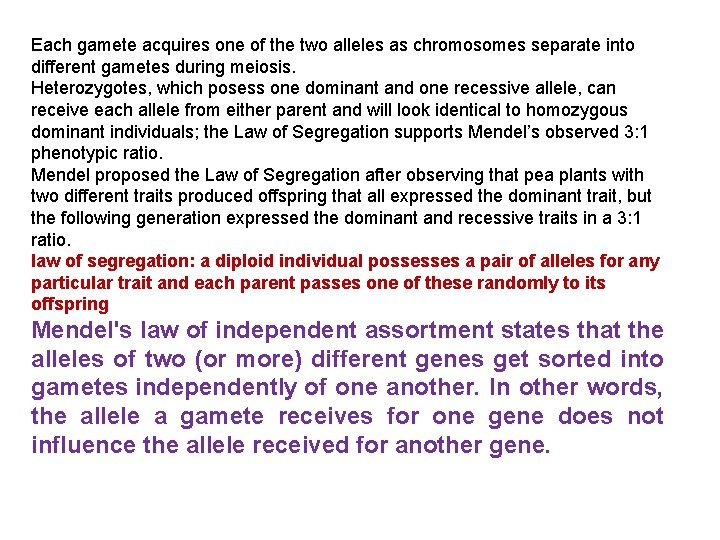 Each gamete acquires one of the two alleles as chromosomes separate into different gametes