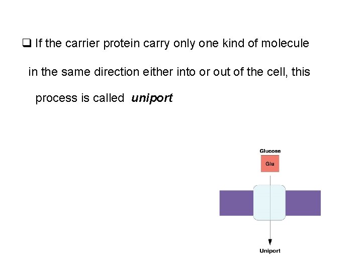 q If the carrier protein carry only one kind of molecule in the same