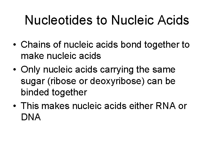 Nucleotides to Nucleic Acids • Chains of nucleic acids bond together to make nucleic